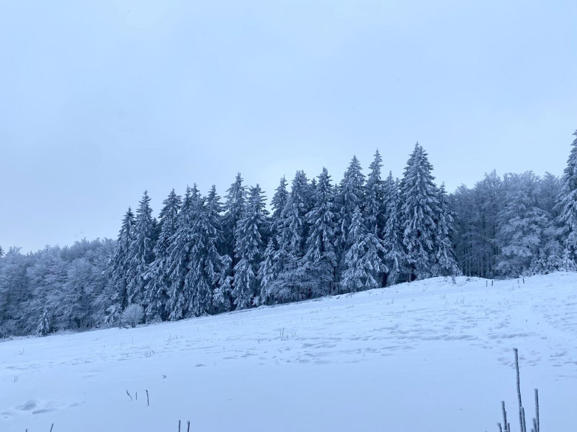Le Chalet Du Hohwald Exterior photo